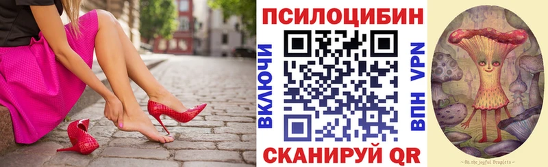 как найти   Казань  мега сайт  Псилоцибиновые грибы Psilocybe 